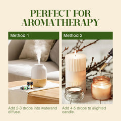 Hanolly oils in skincare routine for nourishing care and blending potential.