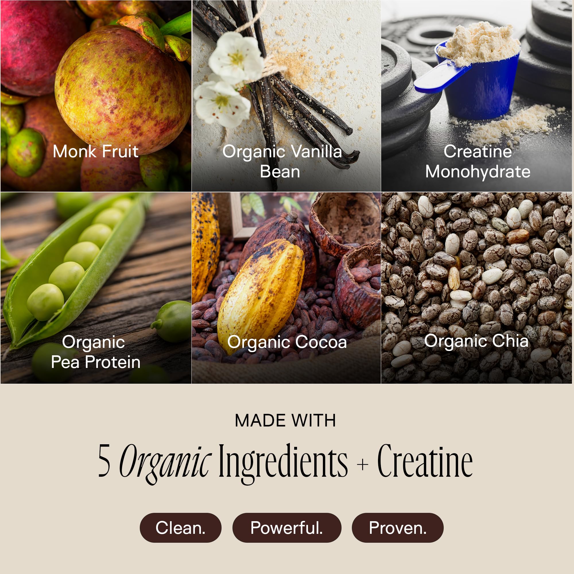 Happy Aging organic pea and pumpkin seed blend highlights 5g creatine for workouts