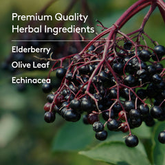 Harker Herbals heritage badge highlights four decades of herbal expertise.