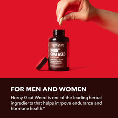 Havasu Nutrition L-Arginine Maca Ginseng blend bottle, supports peak performance.