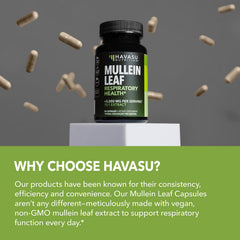 HAVASU Nutrition Mullein Leaf Capsules daily dosing routine