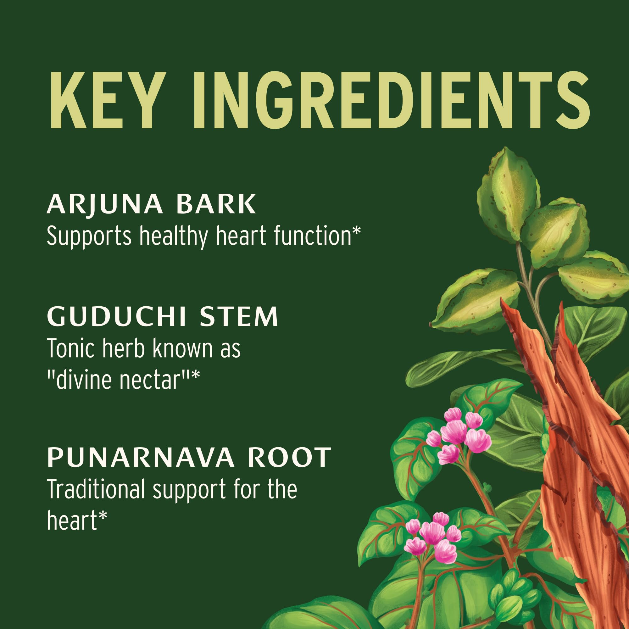 Arjuna bark and herbal mix in Heart Formula tablets