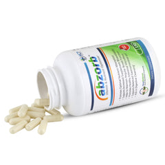 HCP Formulas Abzorb science graphic illustrating enzyme and probiotic support.