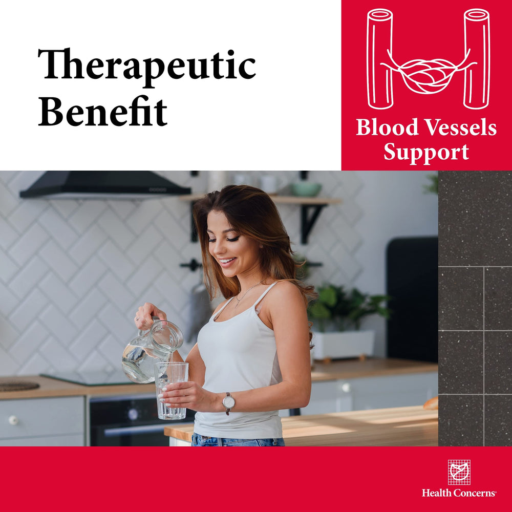 Health Concerns Formula H quercetin illustration emphasizing vascular-friendly support.