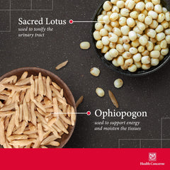 Health Concerns herbal blend in a bowl, traditional formula.