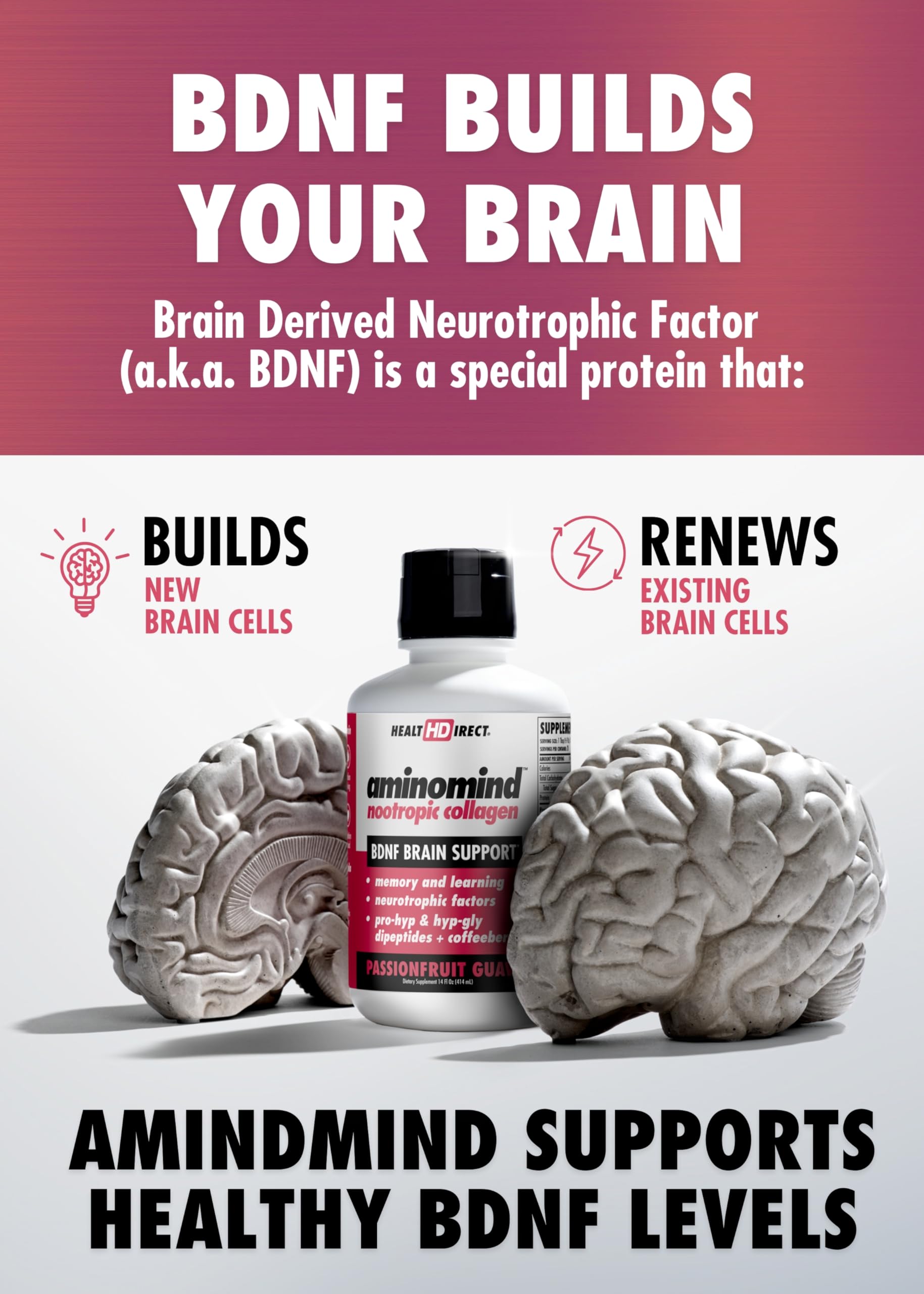 Coffeeberry fruit close-up illustrating antioxidant ingredients for brain health.