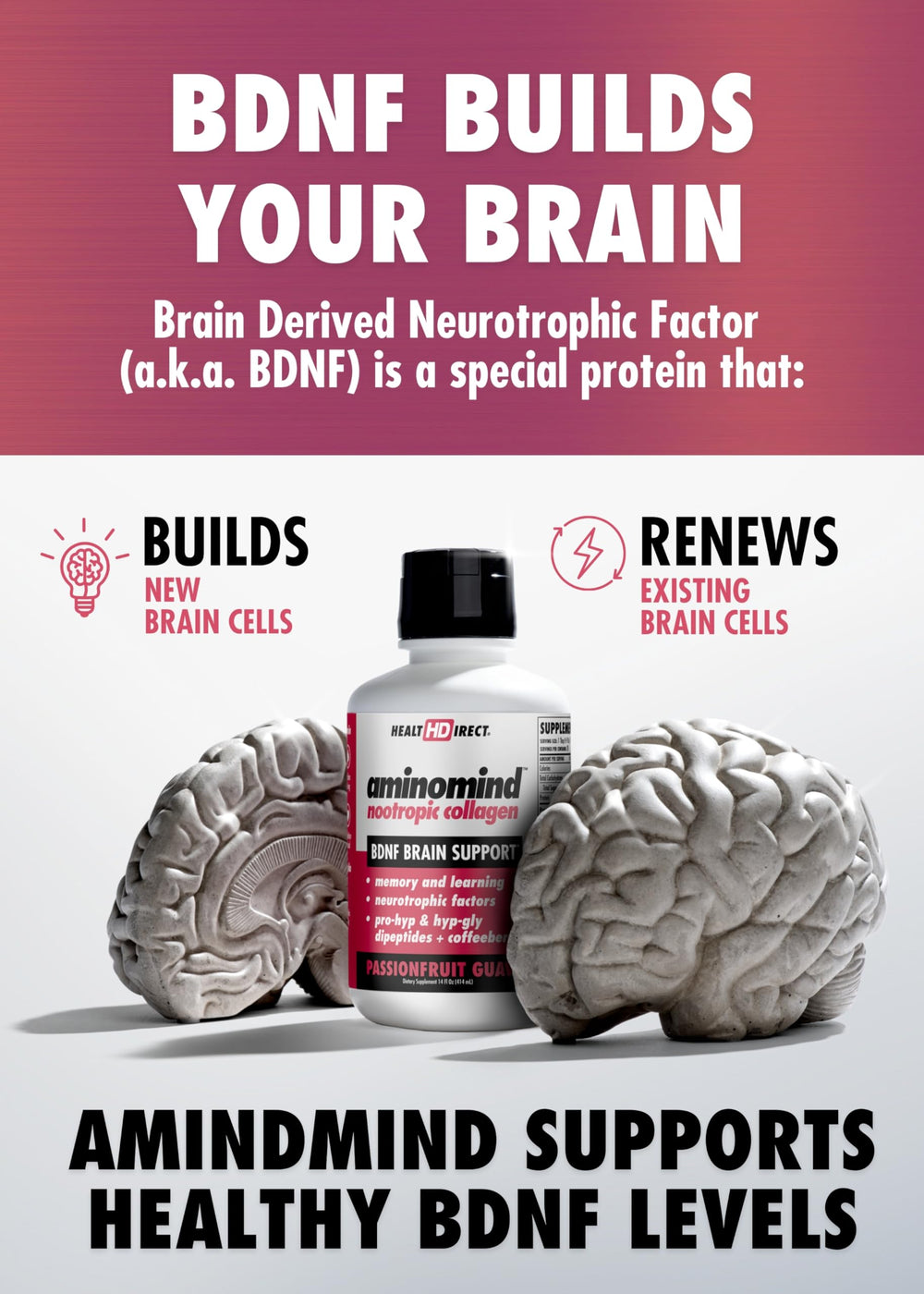 Coffeeberry fruit close-up illustrating antioxidant ingredients for brain health.