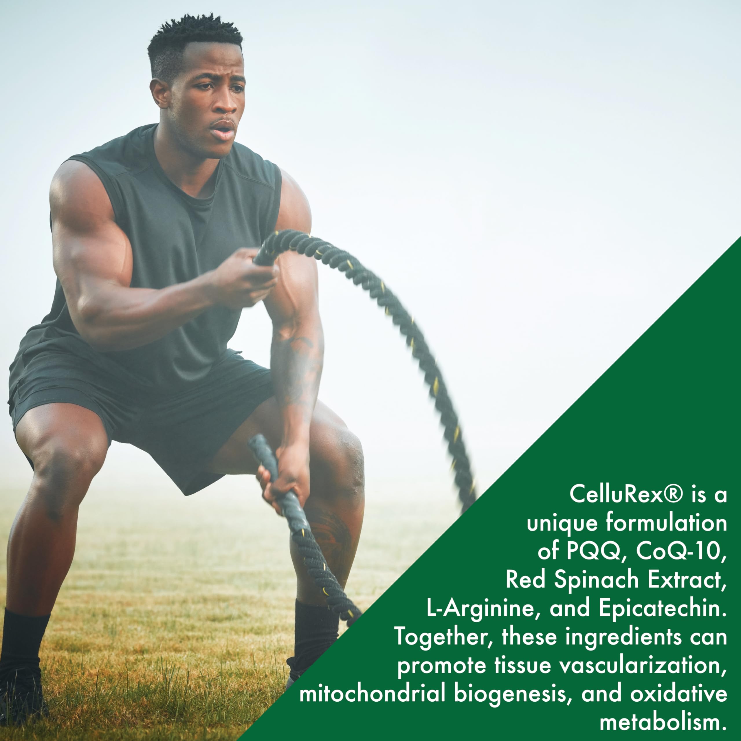 Serving idea: Cellurex with water for a daily energy routine.