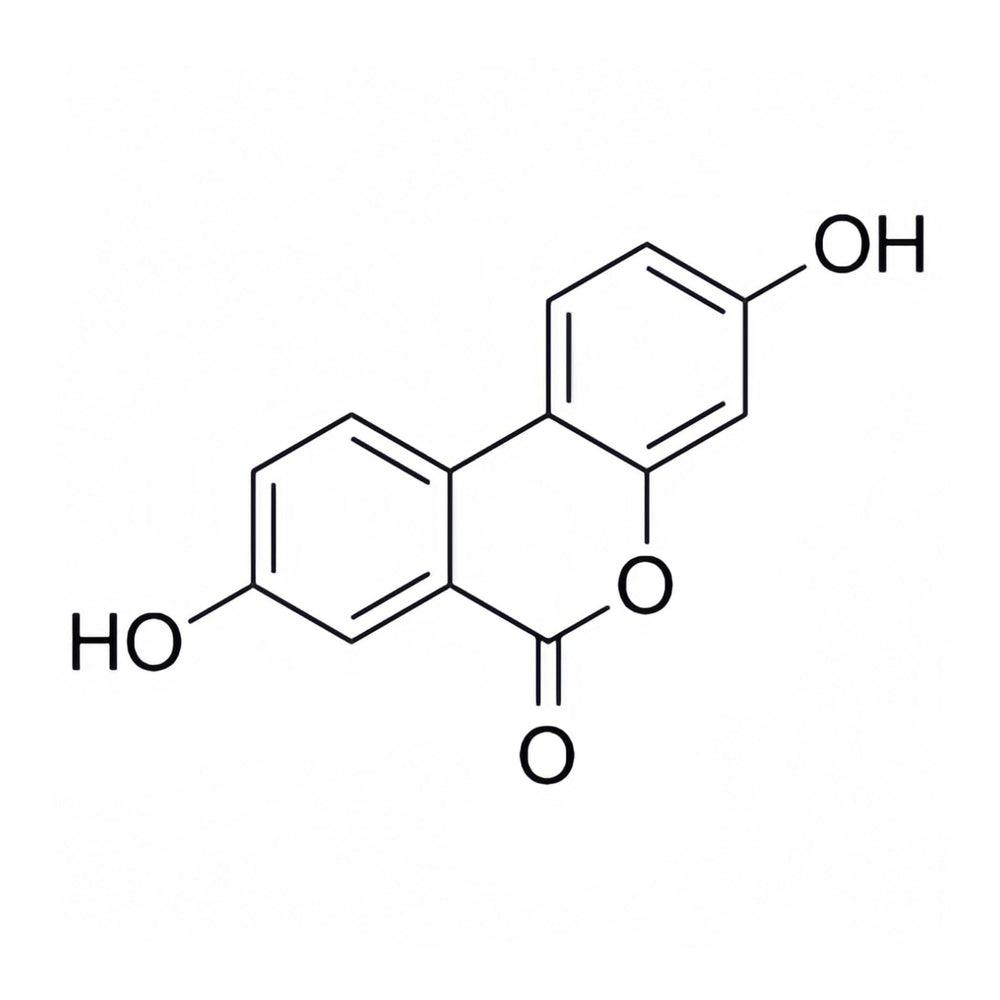 HealthyFinds Urolithin A powder lab certification confirms rigorous testing.