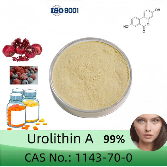HealthyFinds Urolithin A powder with scoop enables precise dosing.