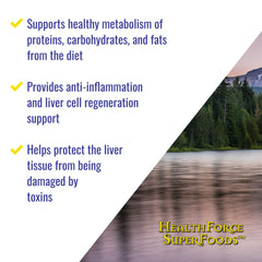 HealthForce Liver Rescue dandelion root illustration emphasizing natural support