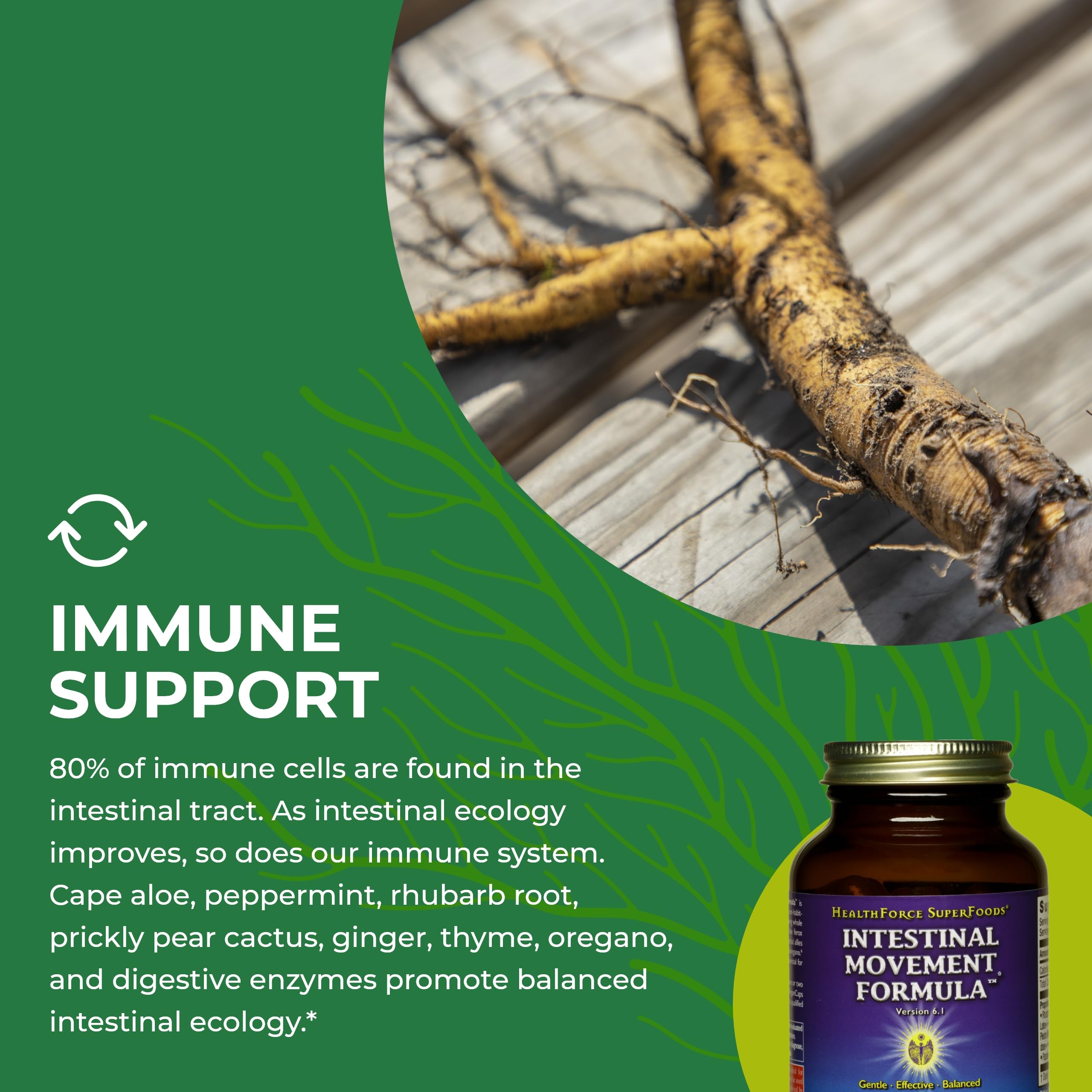 USA-made HealthForce Intestinal Movement Formula vegan facility badge