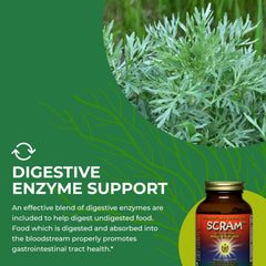 HEALTHFORCE SCRAM 100% vegan enzymes depicted in bottle illustration for digestion.