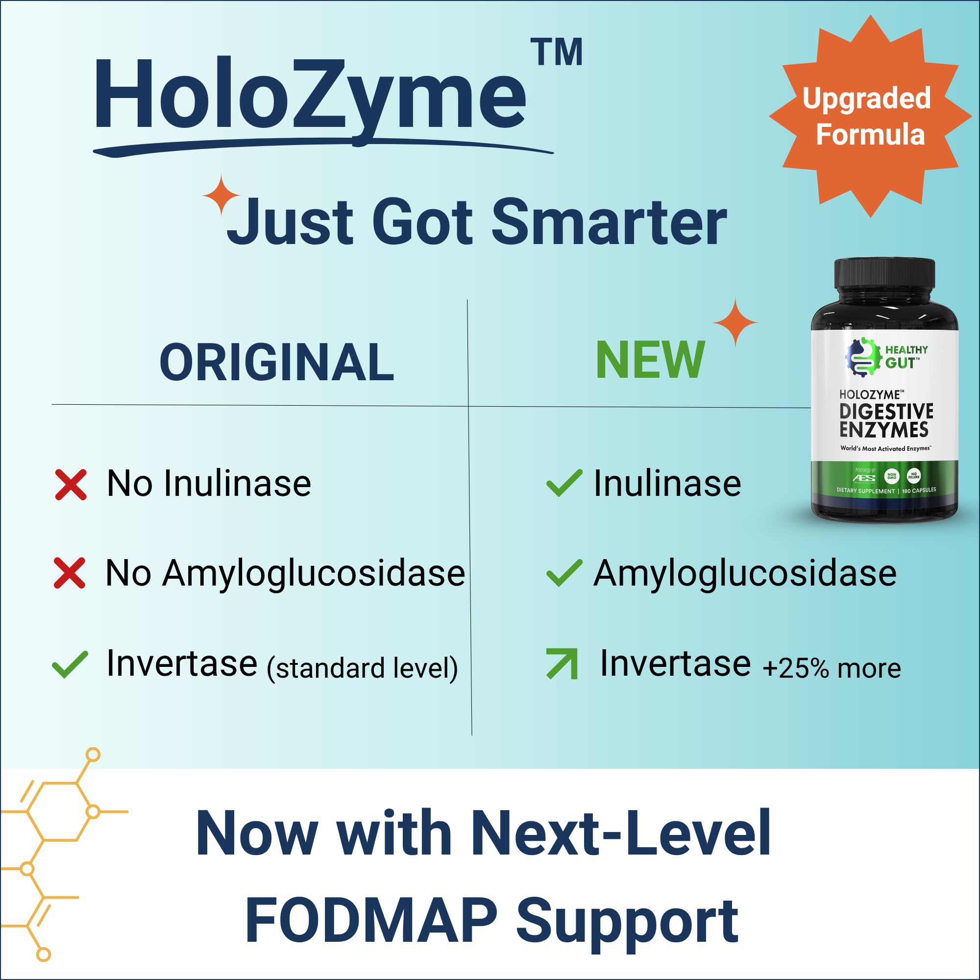 Healthy Gut HoloZyme Max Strength smart dosing graphic for meal-timed enzyme use