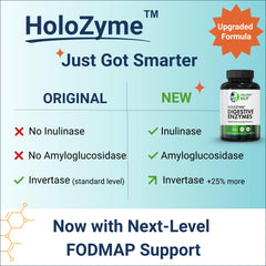 Healthy Gut HoloZyme Max Strength smart dosing graphic for meal-timed enzyme use