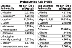 Healthy 'N Fit Whey Pro-Amino v2.0 vanilla shake mixes easily for a smooth texture