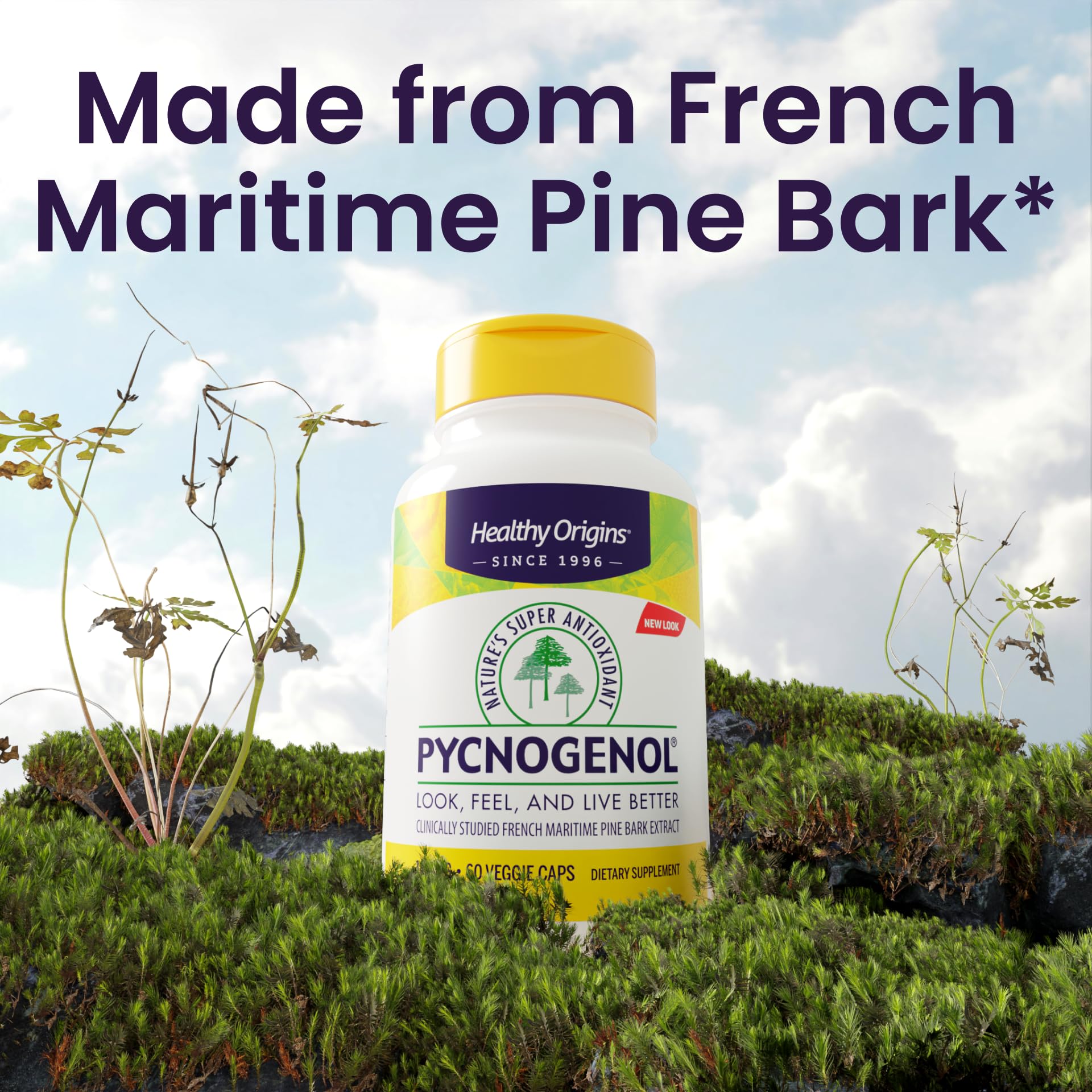 Healthy Origins Pycnogenol label detail shows non-GMO and gluten-free formula