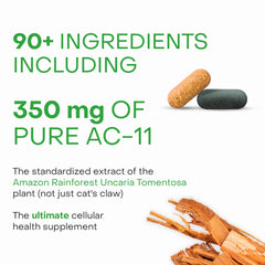 HealthyCell PM capsules evening dose aiding recovery and restful sleep.