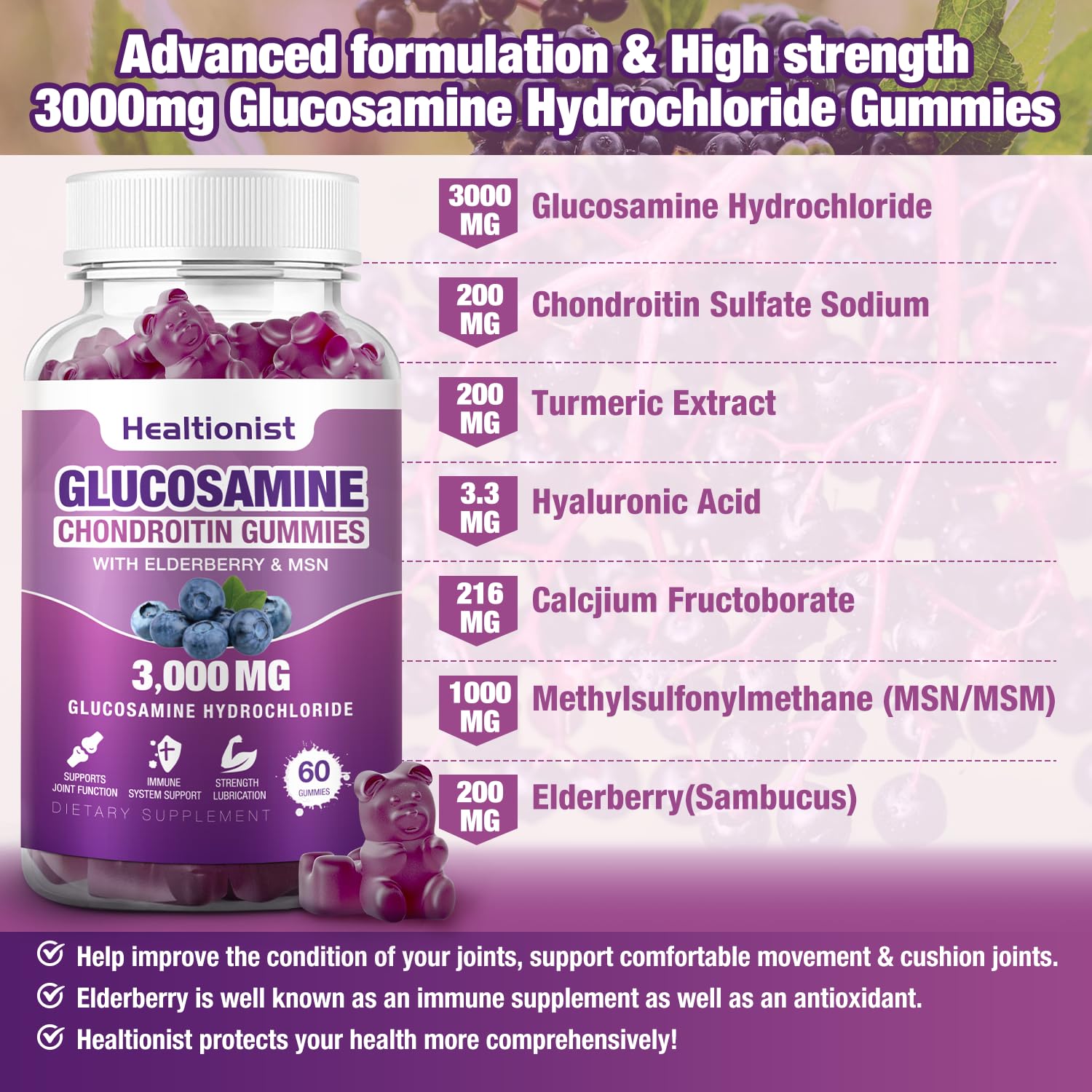 Healtionist elderberry extract bottle showing antioxidant support