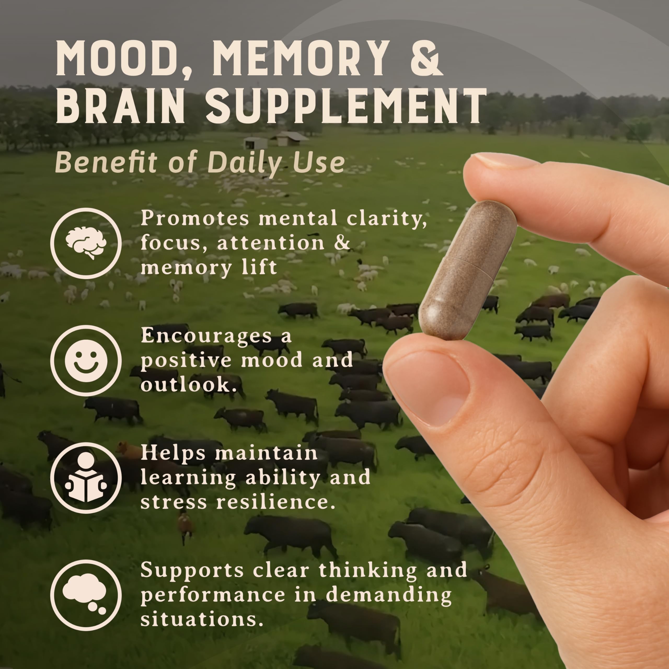 Heart & Soil capsules daily dose close-up for cognitive support