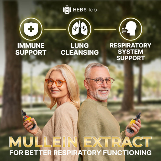 HEBS LAB mullein leaf extract dropper enables easy, precise dosing