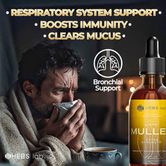 Close-up label on HEBS LAB mullein extract shows USA-made quality