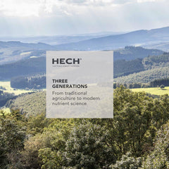 HECH Caviar capsules in hand suggesting a portable daily ritual