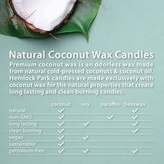 Hemlock Park 16 oz candle jar showing generous size and burn potential