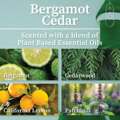 Hemlock Park Natural Coconut Wax Bergamot Cedar candle highlights plant-based ingredients for a clean burn.