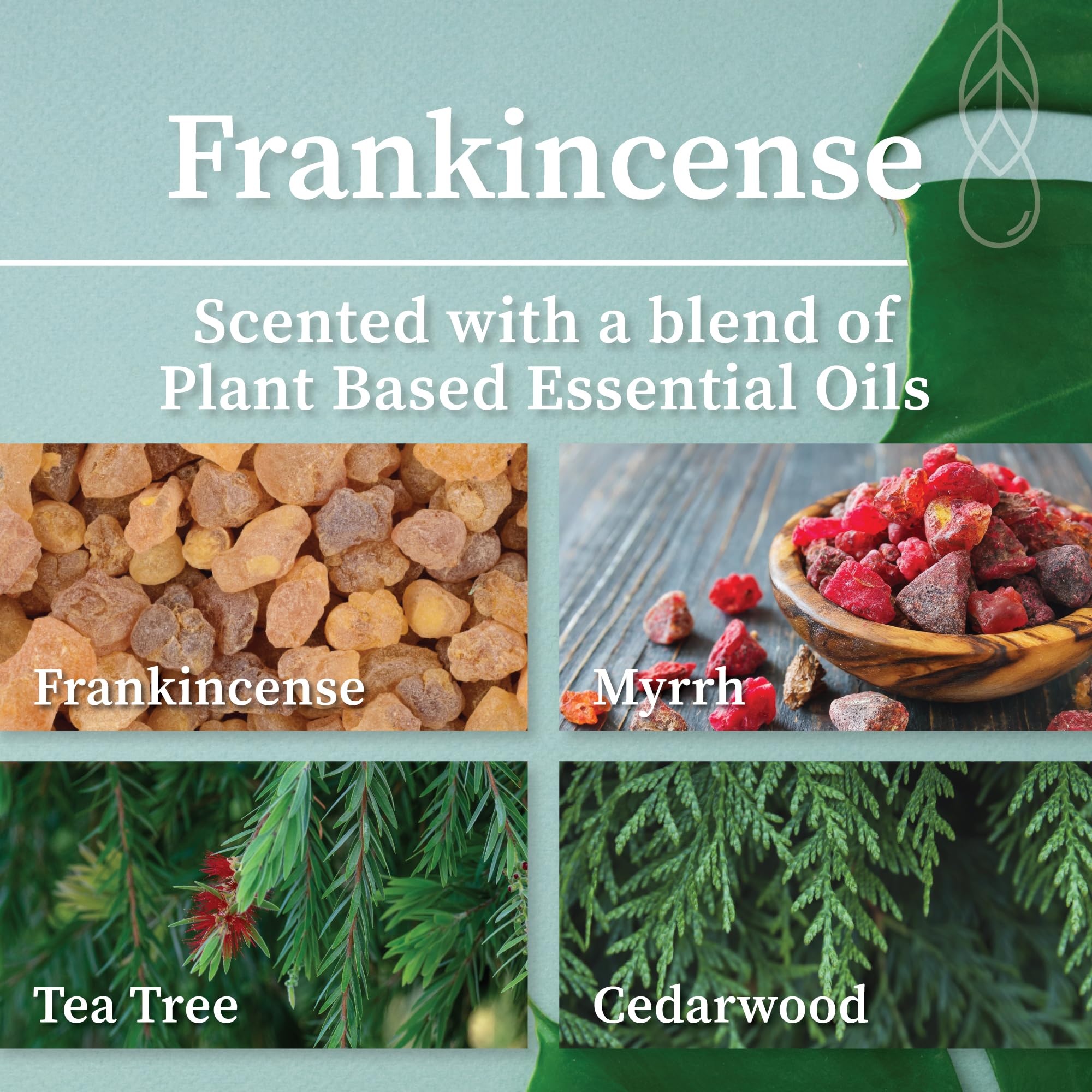 Close-up of wooden wick and coconut wax highlighting clean-burning plant-based formula.