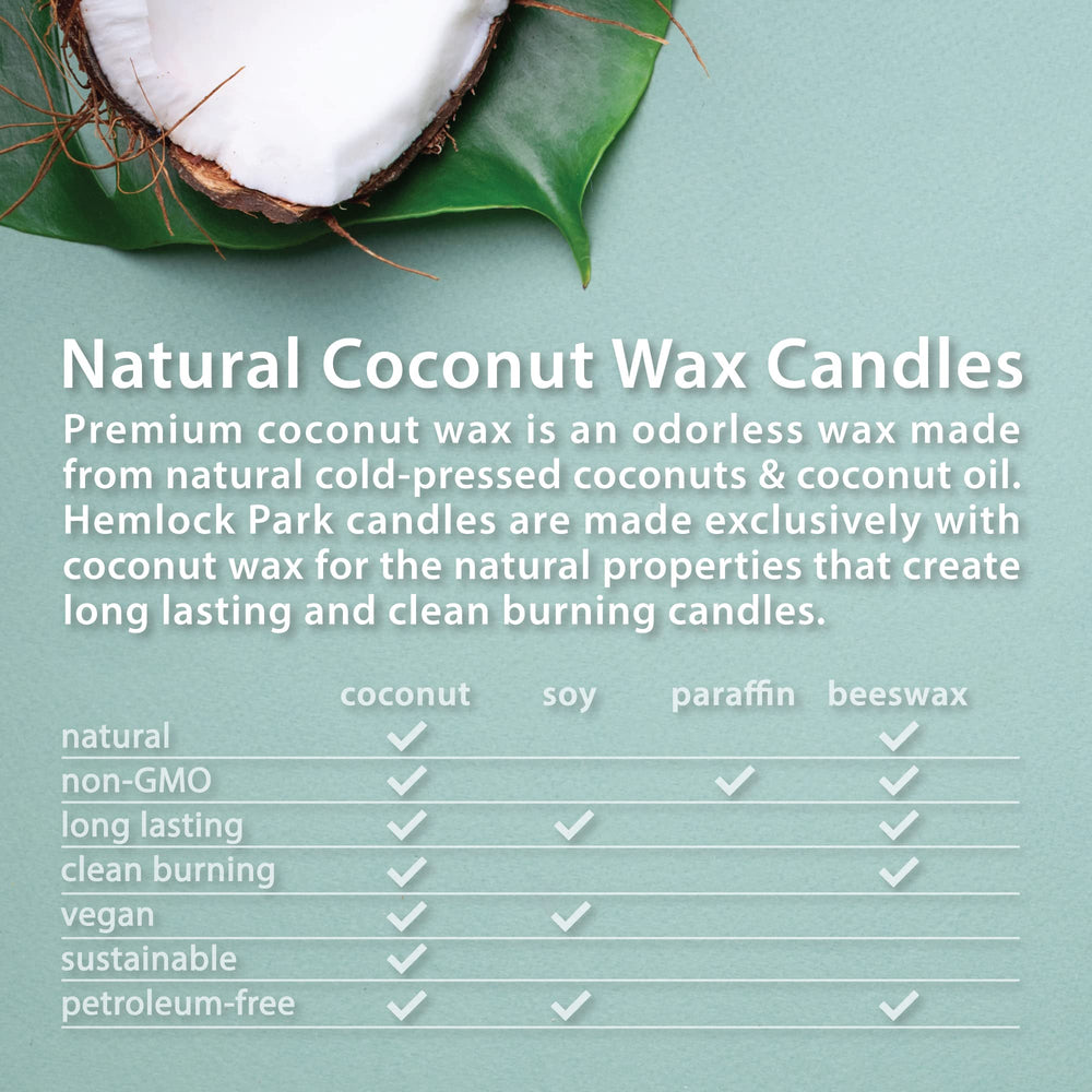 Hemlock Park Oud Forest handcrafted candle, American-made with sustainable materials and artisanal care.