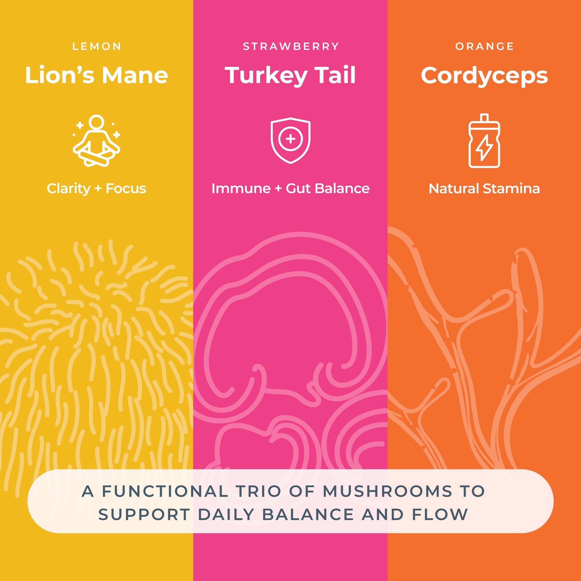Hemp & Hand gummies strawberry flavor shows Turkey Tail blend for a fruit-forward option