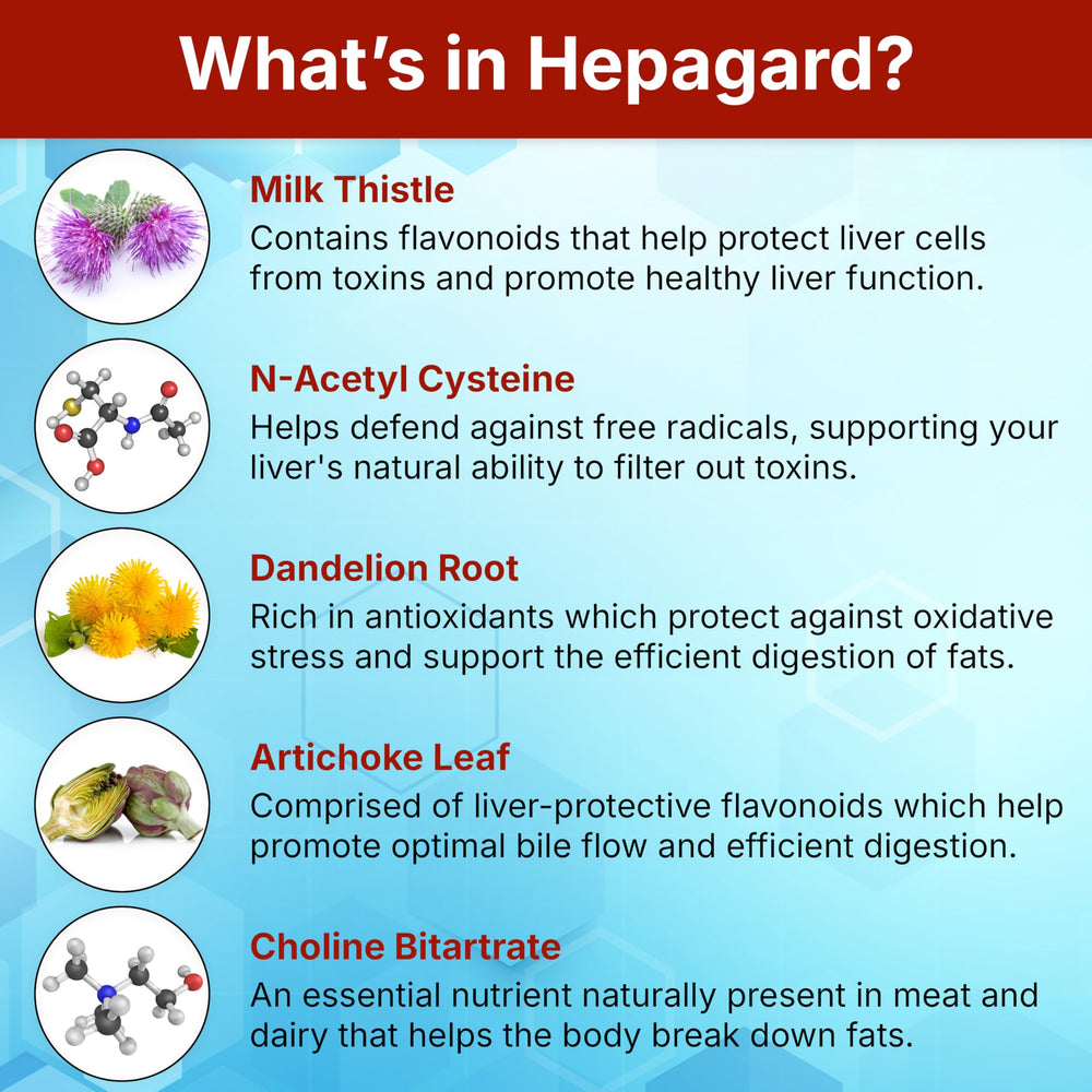 Hepagard choline bitartrate emphasis for lipid metabolism support.