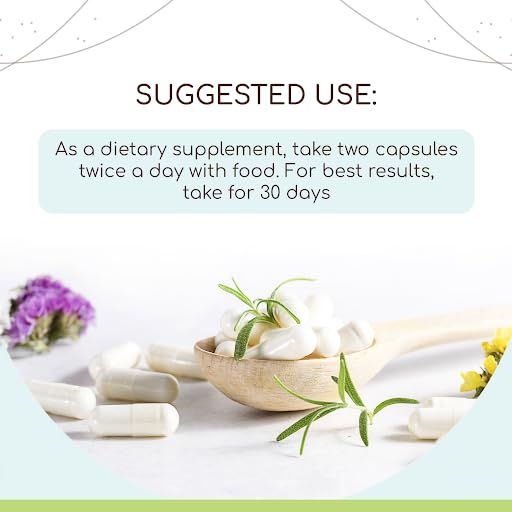 HerbEra Angelica dried root package showing certified organic ingredient