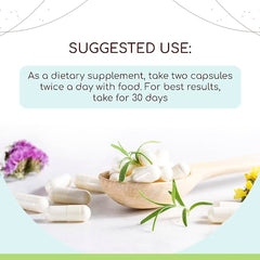 HerbEra Angelica dried root package showing certified organic ingredient