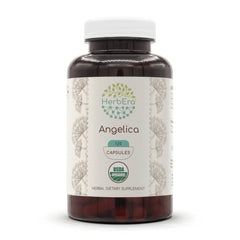HerbEra Angelica organic capsules bottle for convenient daily use
