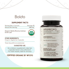 HerbEra Boldo dried leaf close-up shows quality herbal ingredients.