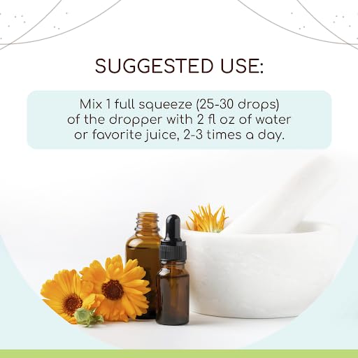 HerbEra Eucalyptus B120 tincture pour top view highlighting convenient dispensing.