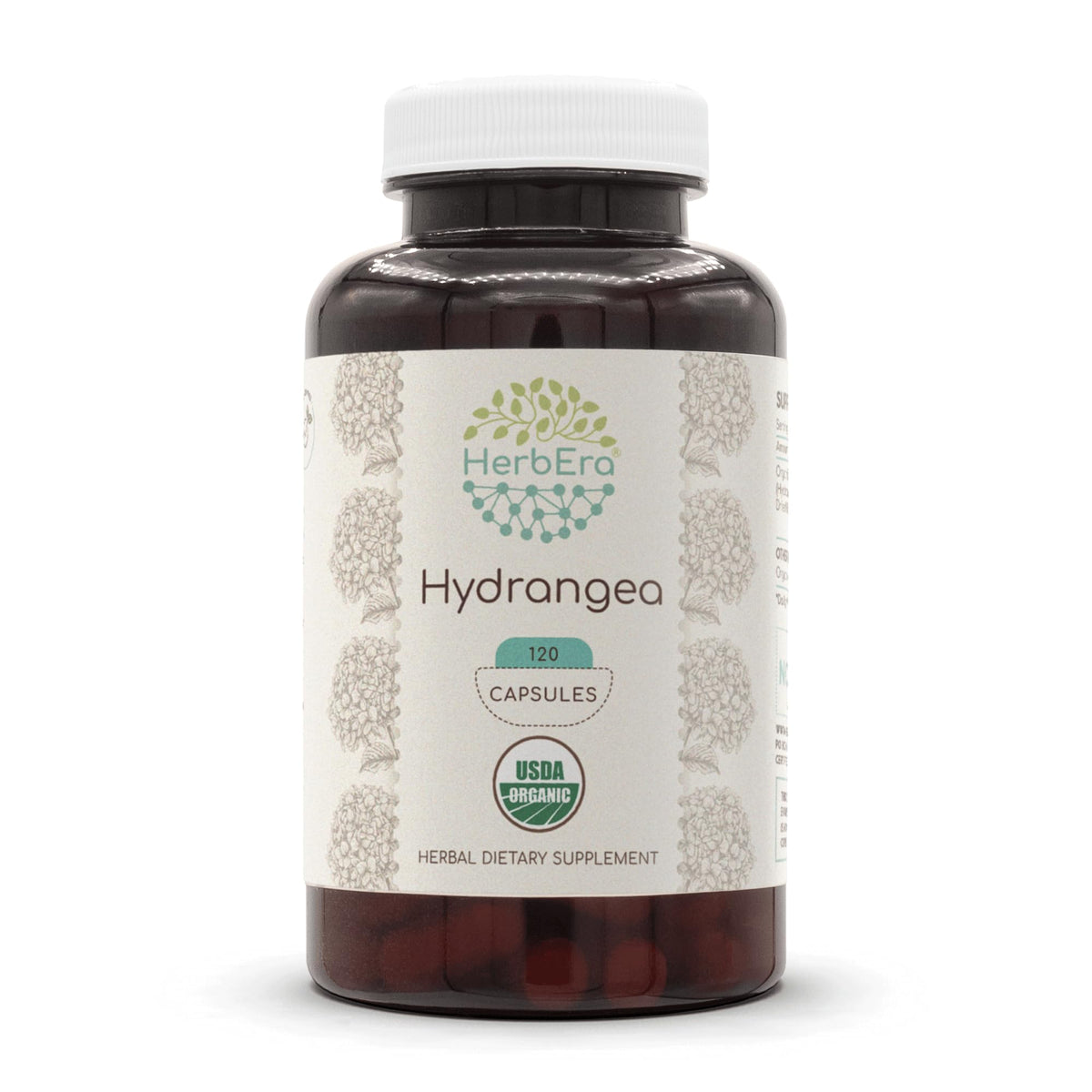HerbEra Hydrangea 120 capsules bottle, organic supplement for daily wellness