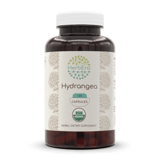 HerbEra Hydrangea 120 capsules bottle, organic supplement for daily wellness