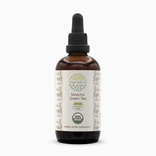 HerbEra Matcha Green Tea tincture bottle shows high-potency, alcohol-free extract for easy versatility.