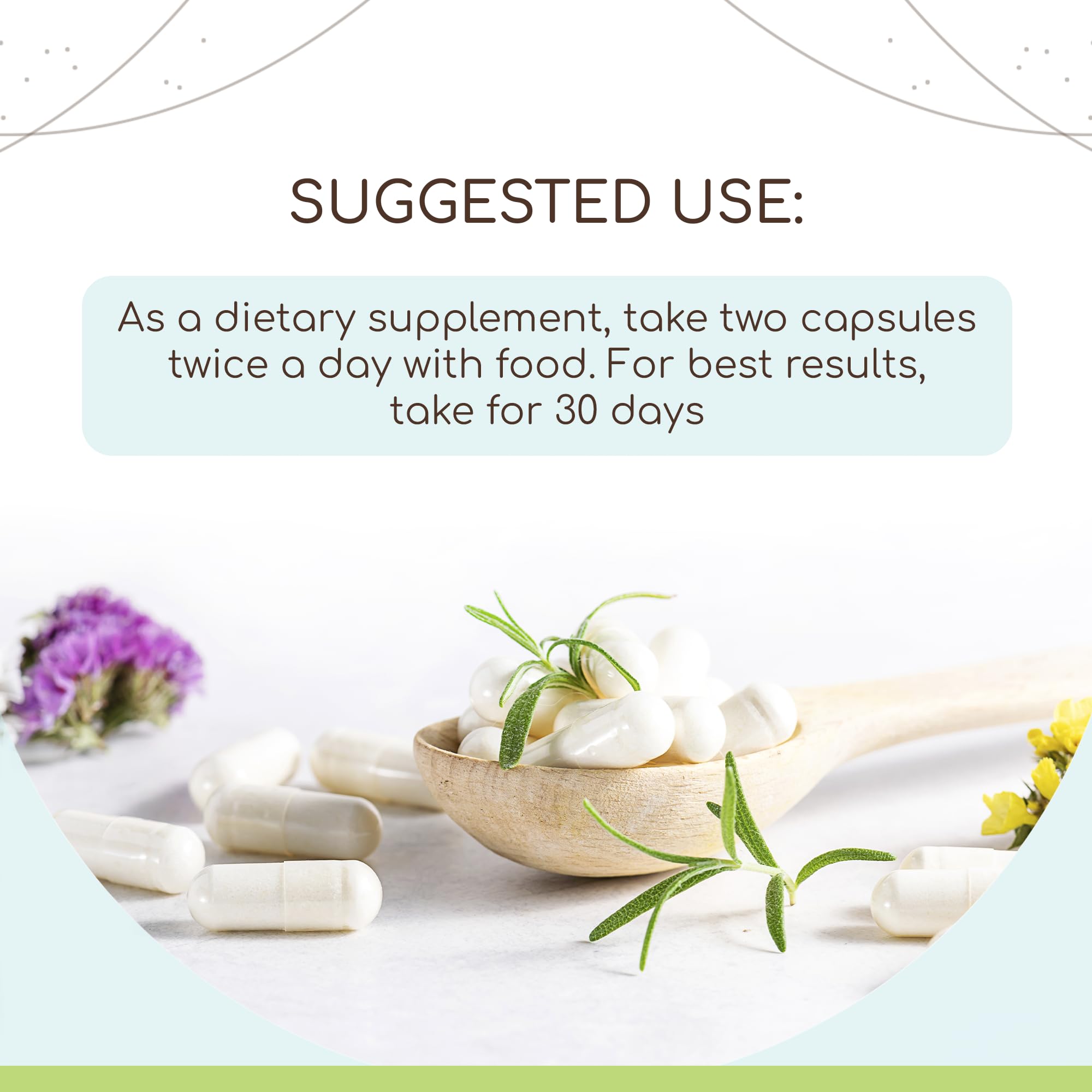 HerbEra Wormwood capsules label closeup with organic certification