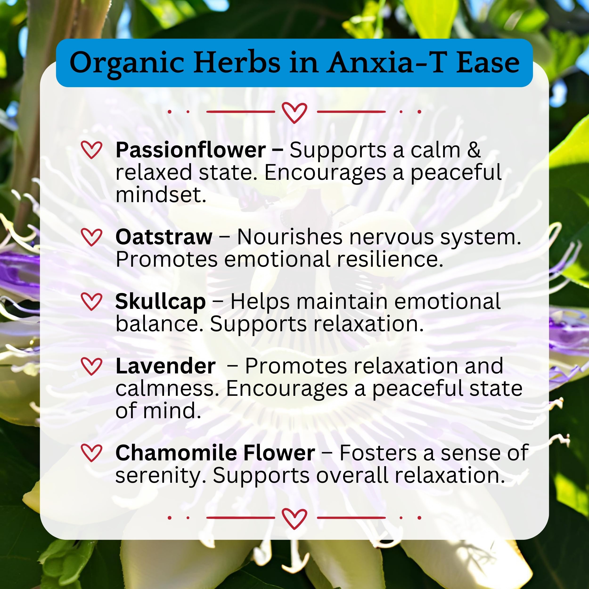 Illustration of Anxia-T Ease ingredients and flower essences for emotional balance.