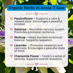 Illustration of Anxia-T Ease ingredients and flower essences for emotional balance.