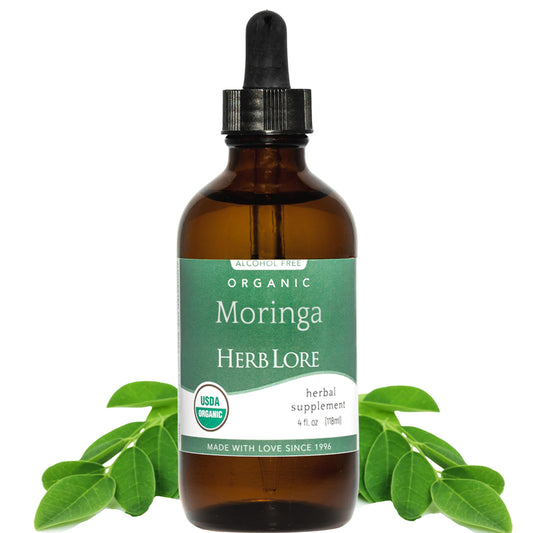 Herb Lore Moringa tincture bottle close-up, pure organic leaf quality