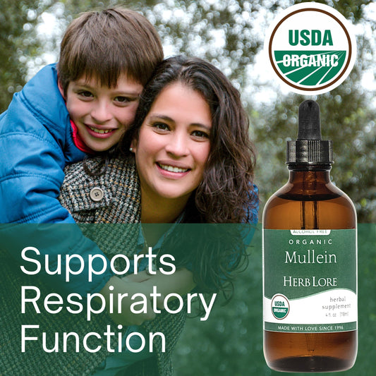 Herb Lore Mullein tincture dropper offers easy daily dosing.