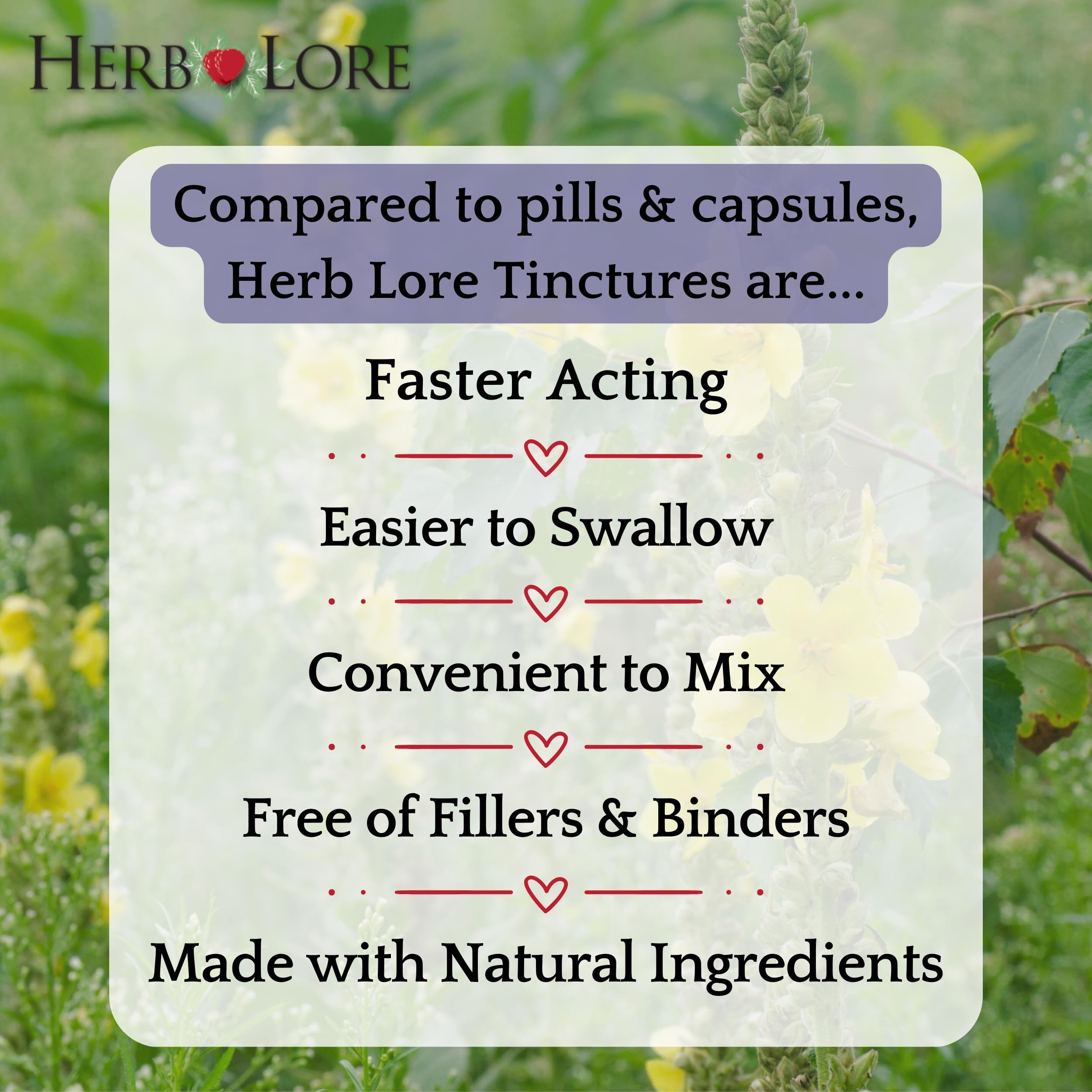 Herb Lore Mullein tincture label highlights organic ingredients and alcohol-free formula.