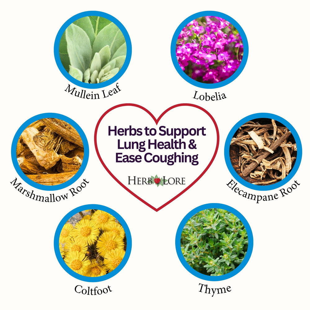 Herb Lore Quiet Cough tincture dropper shows a gentle, alcohol-free formula