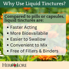 Herb Lore Quiet Cough tincture highlights mullein and elecampane blend
