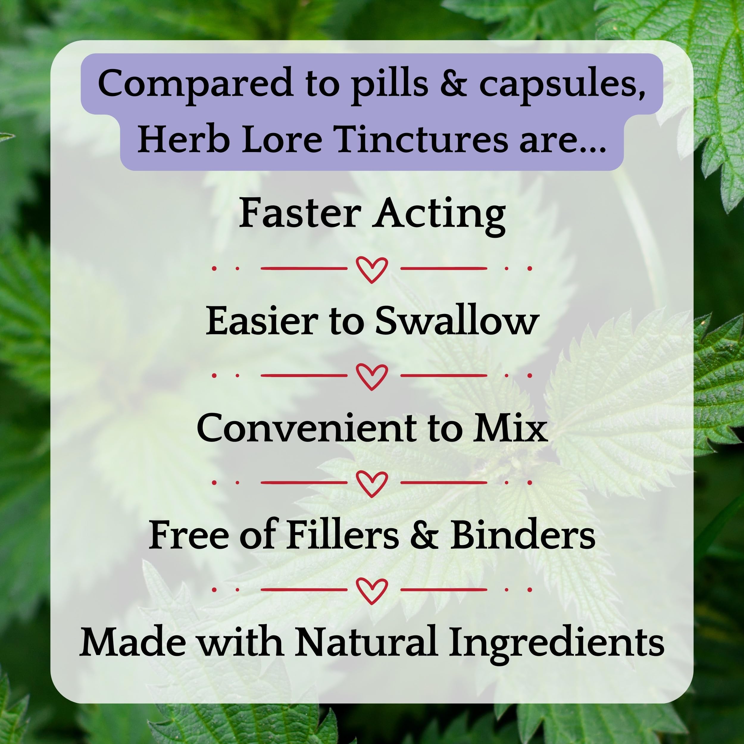 Herb Lore tincture with glycerine base conveys gentle, family-friendly use for everyday routines.